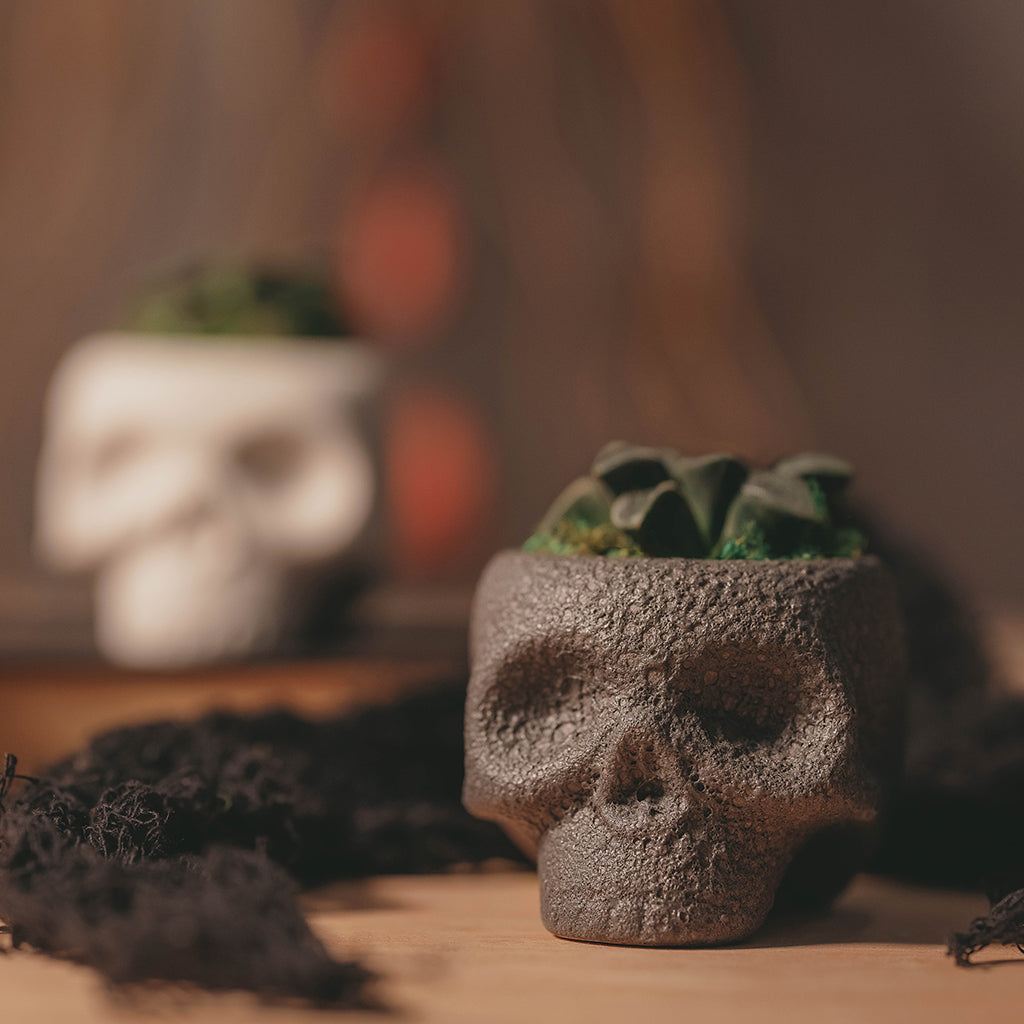 Cranial Assorted Foliage 5"
