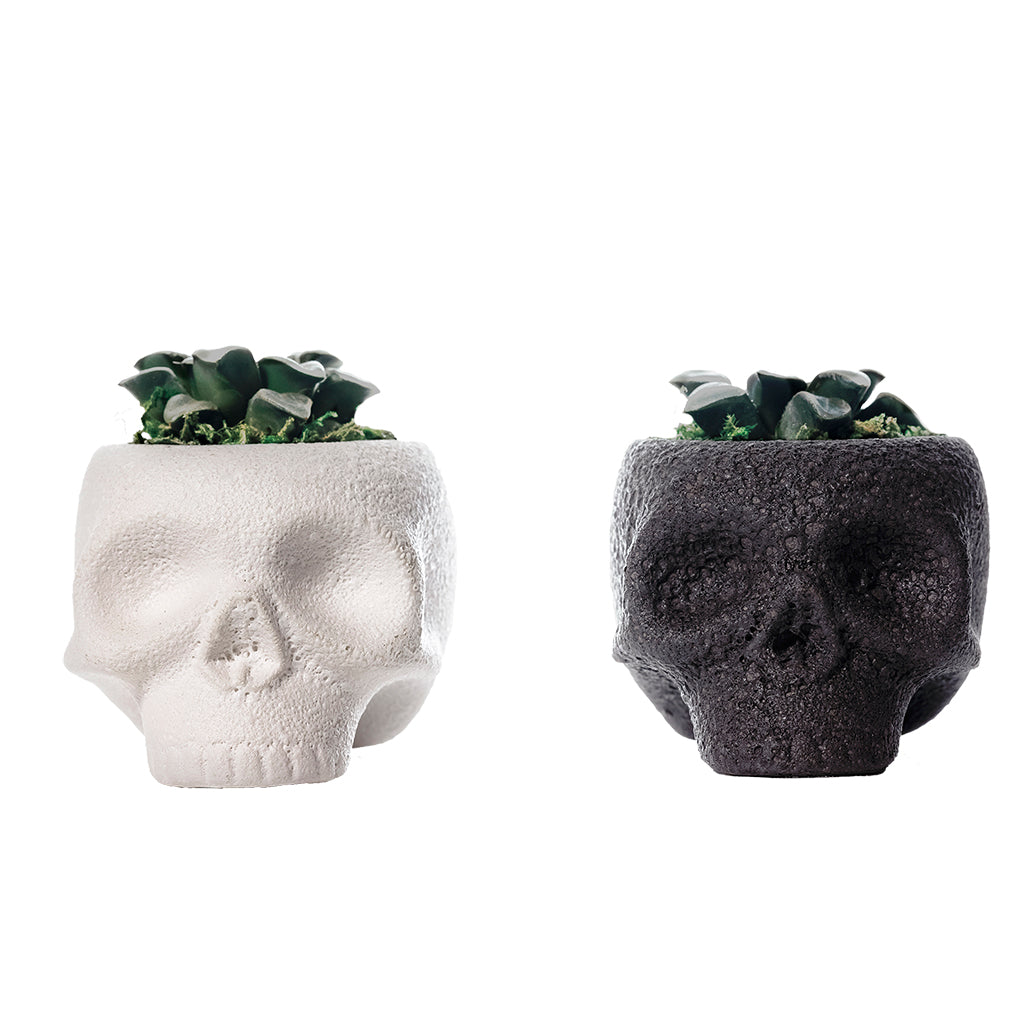 Cranial Assorted Foliage 5"