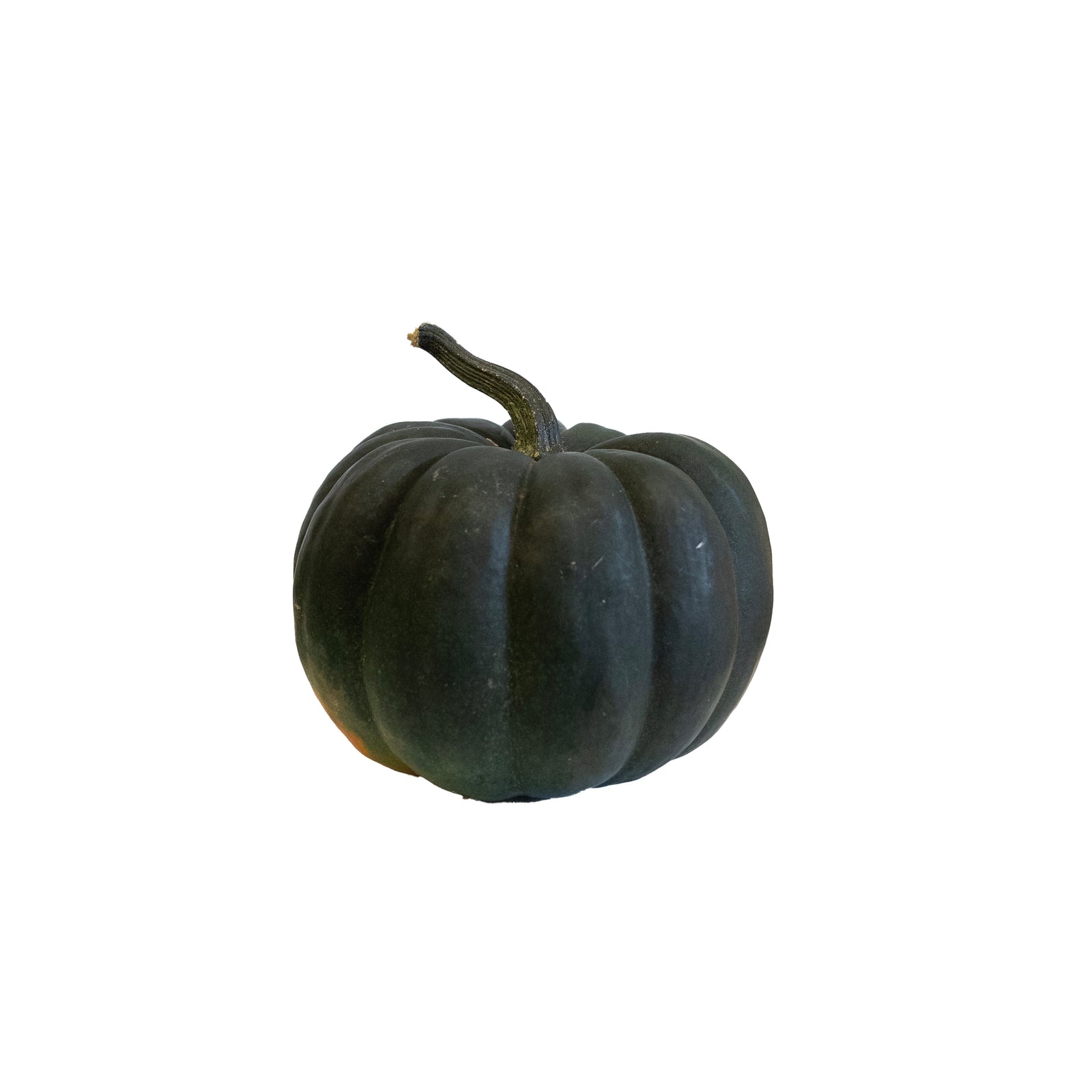 Specialty Small Pumpkin