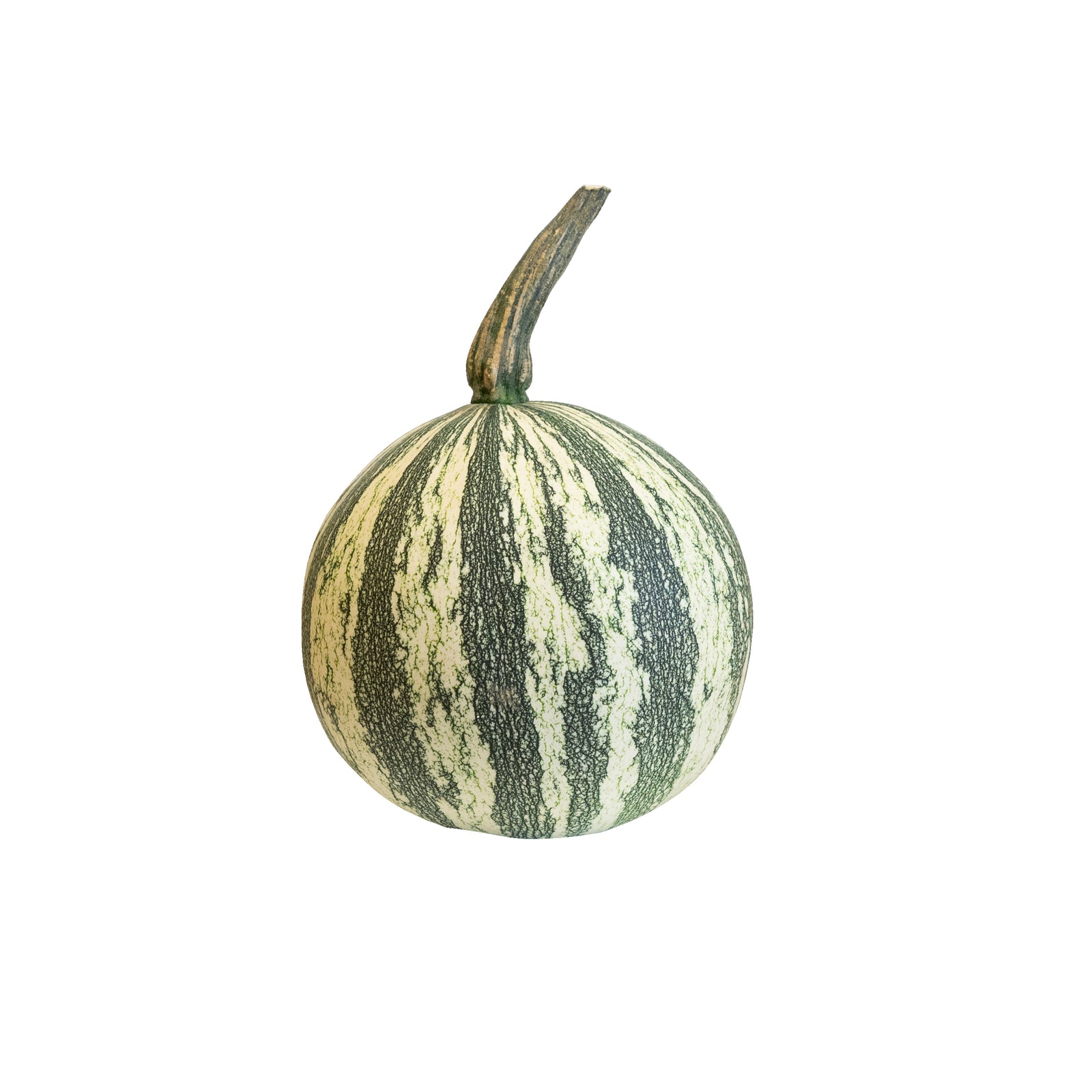 Specialty Small Pumpkin