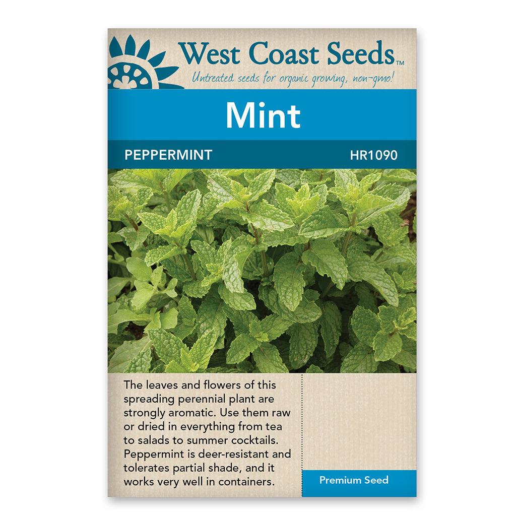 Peppermint Seeds - Sheridan Nurseries Online