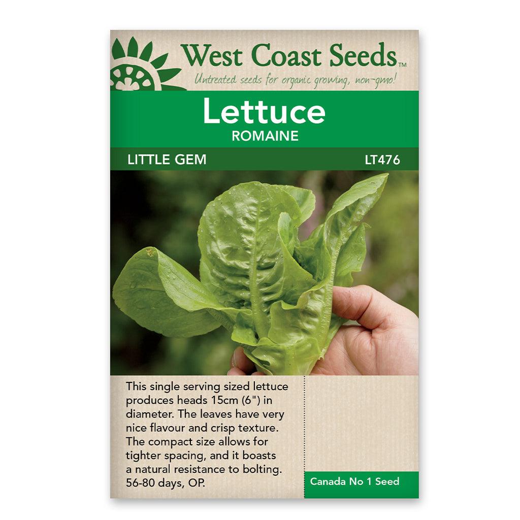 Little Gem Lettuce Seeds