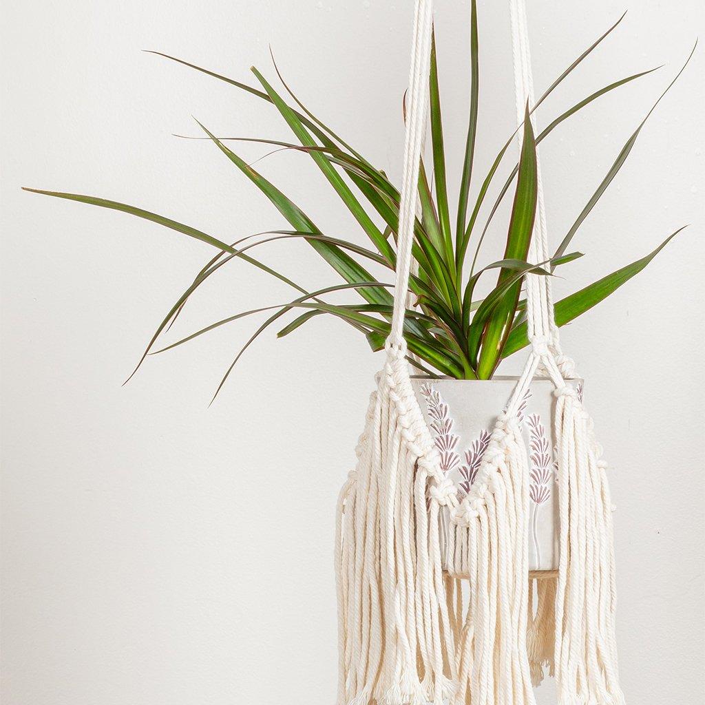 Macrame Plant Hanger With Fringe