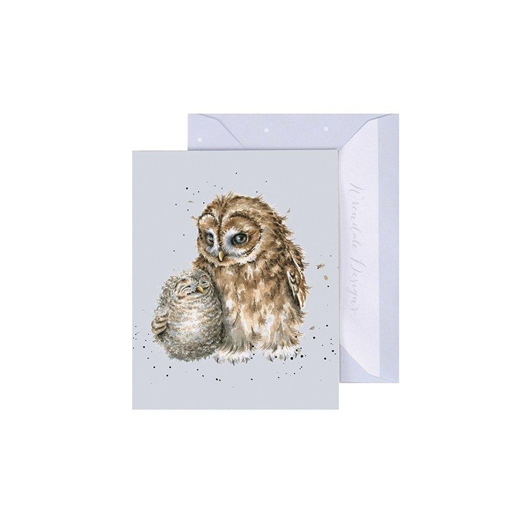 Owlways By Your Side Gift Card Enclosure