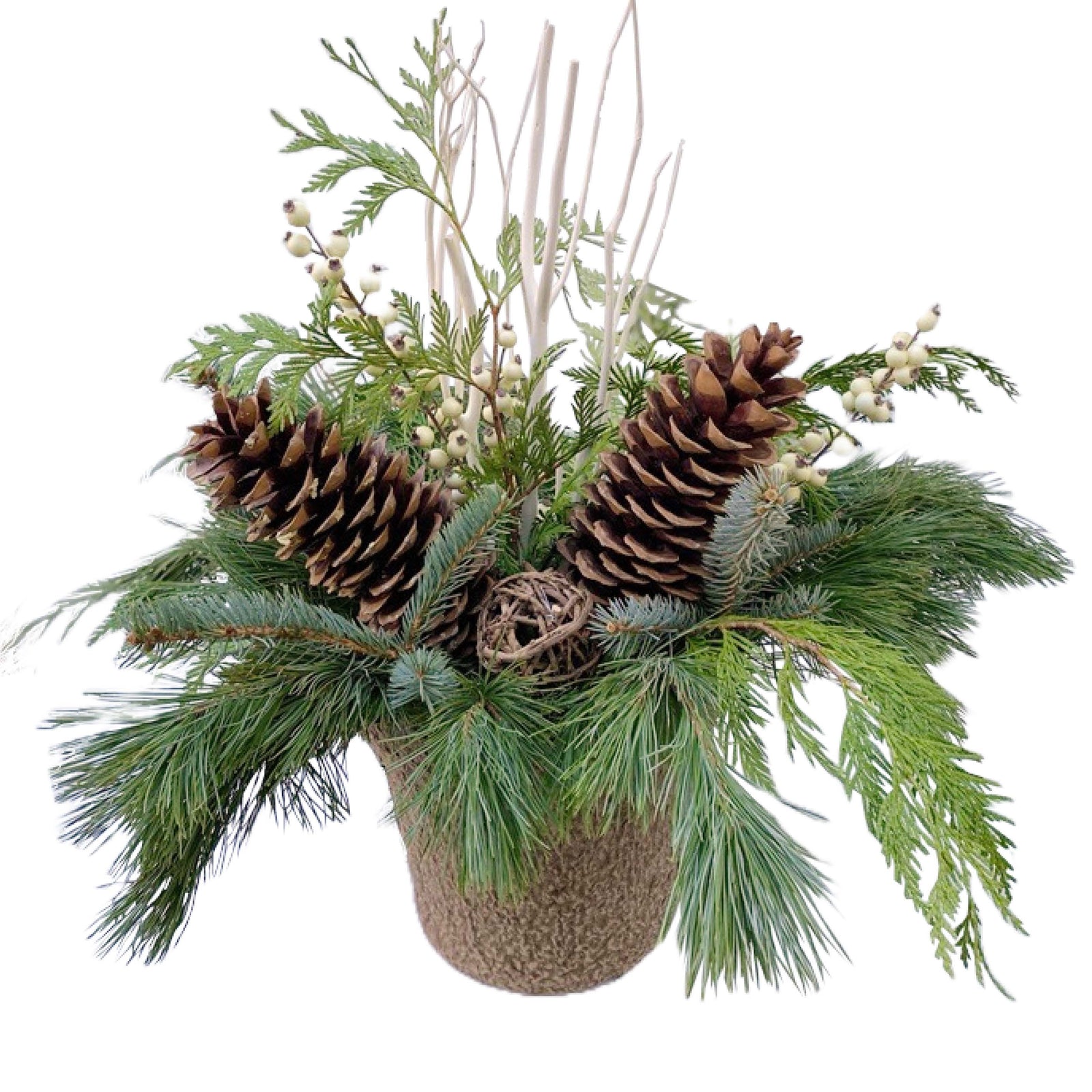 Aurora Garden Centre Make It & Take It: Winter Bliss Christmas Urn