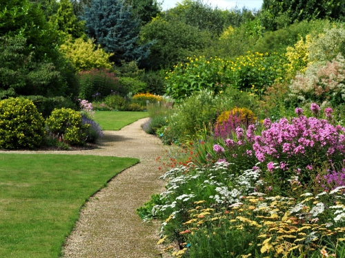 FREE SEMINAR Mississauga Garden Centre Education Series: Garden Rescue Clinic