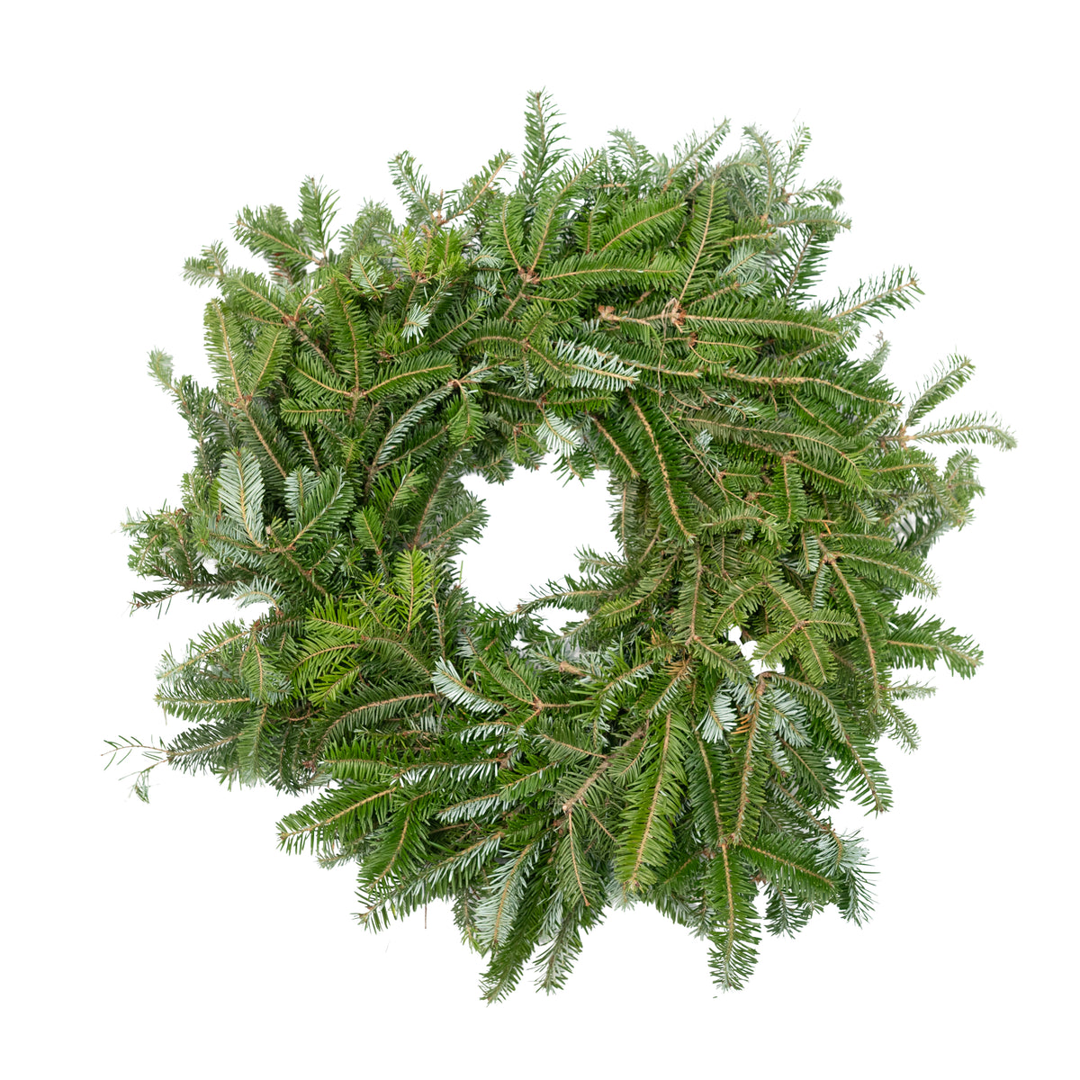 Fraser Fir Wreath 12"