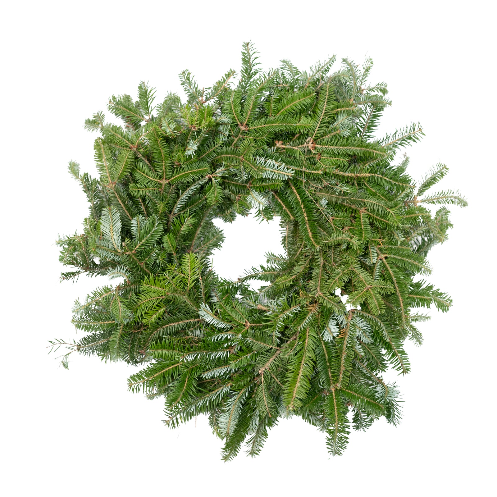 Fraser Fir Wreath 12"