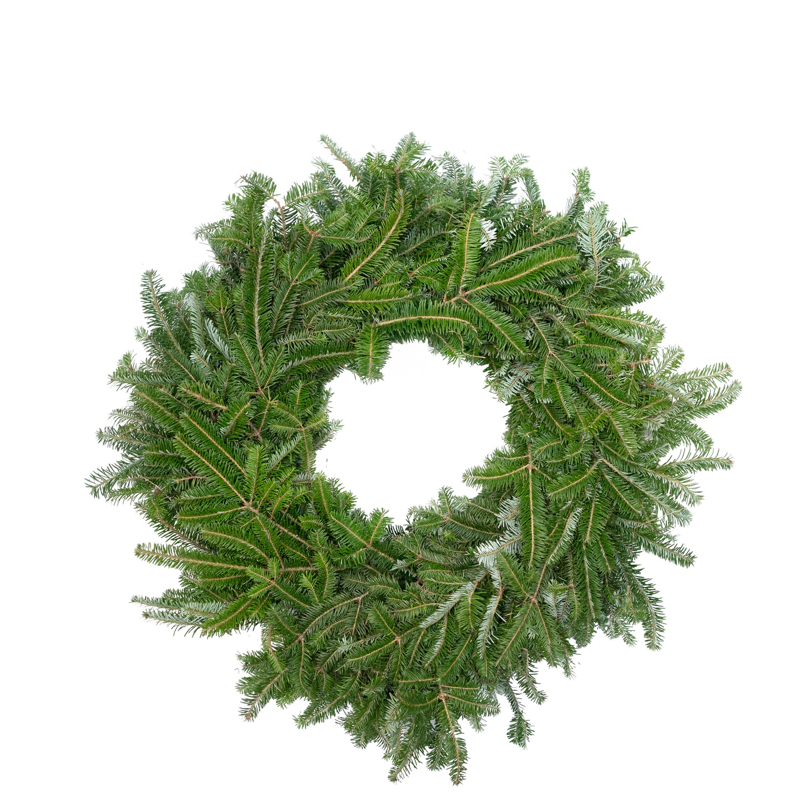 Fraser Fir Wreath 16"
