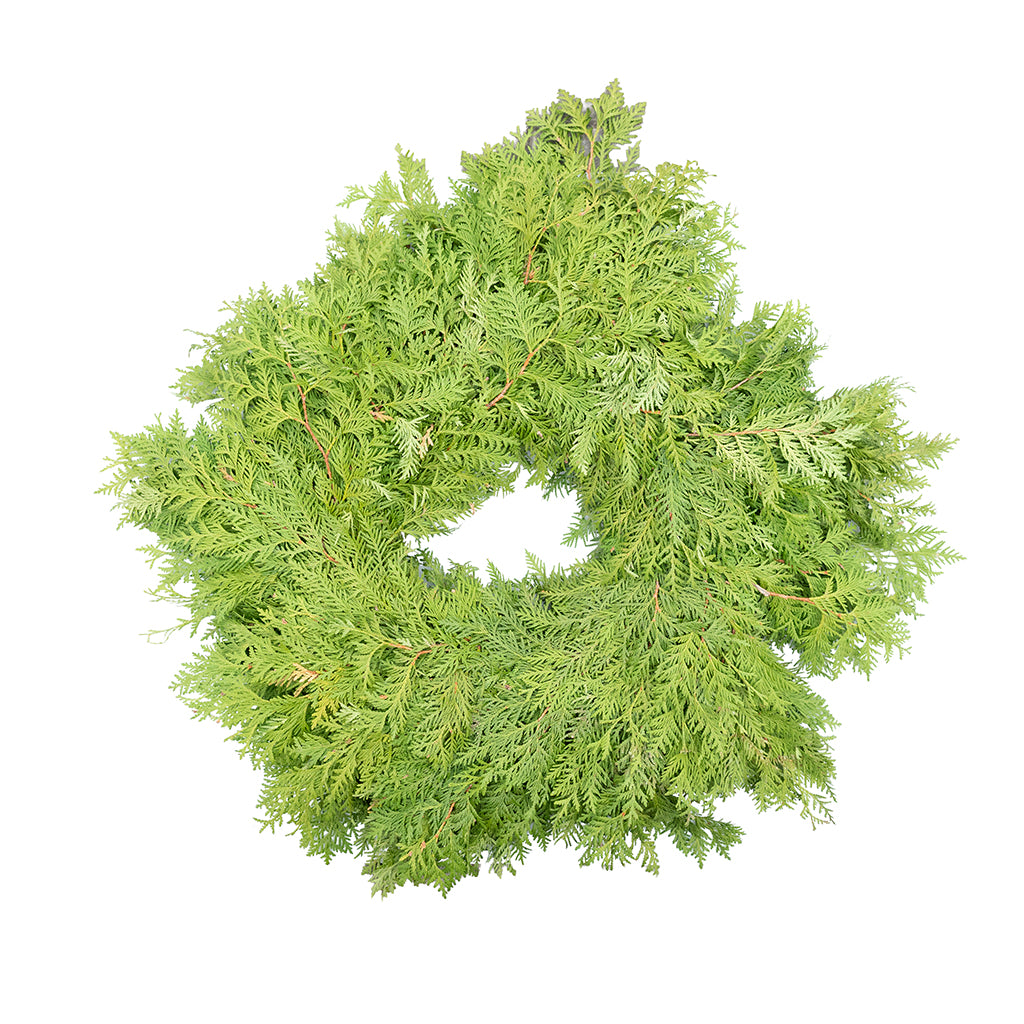 White Cedar Wreath 12"
