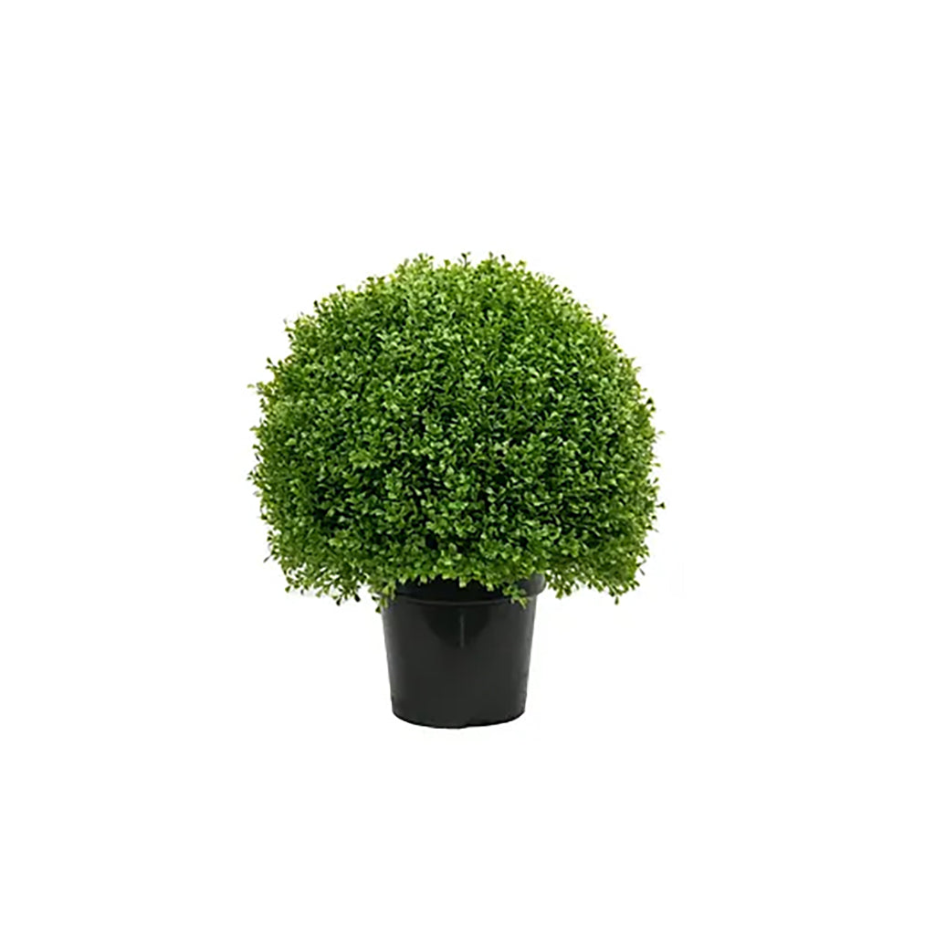 Boxwood Globe 24In Everlasting