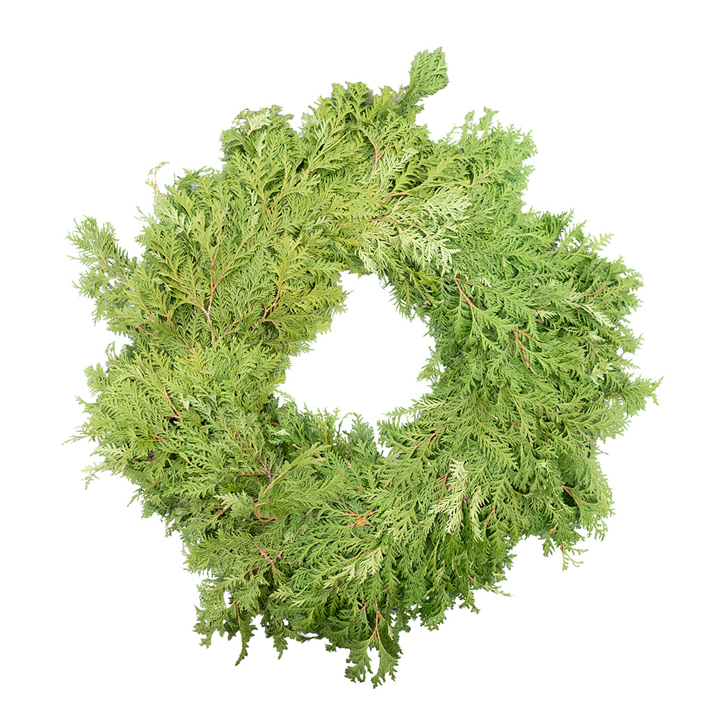 White Cedar Wreath 16"