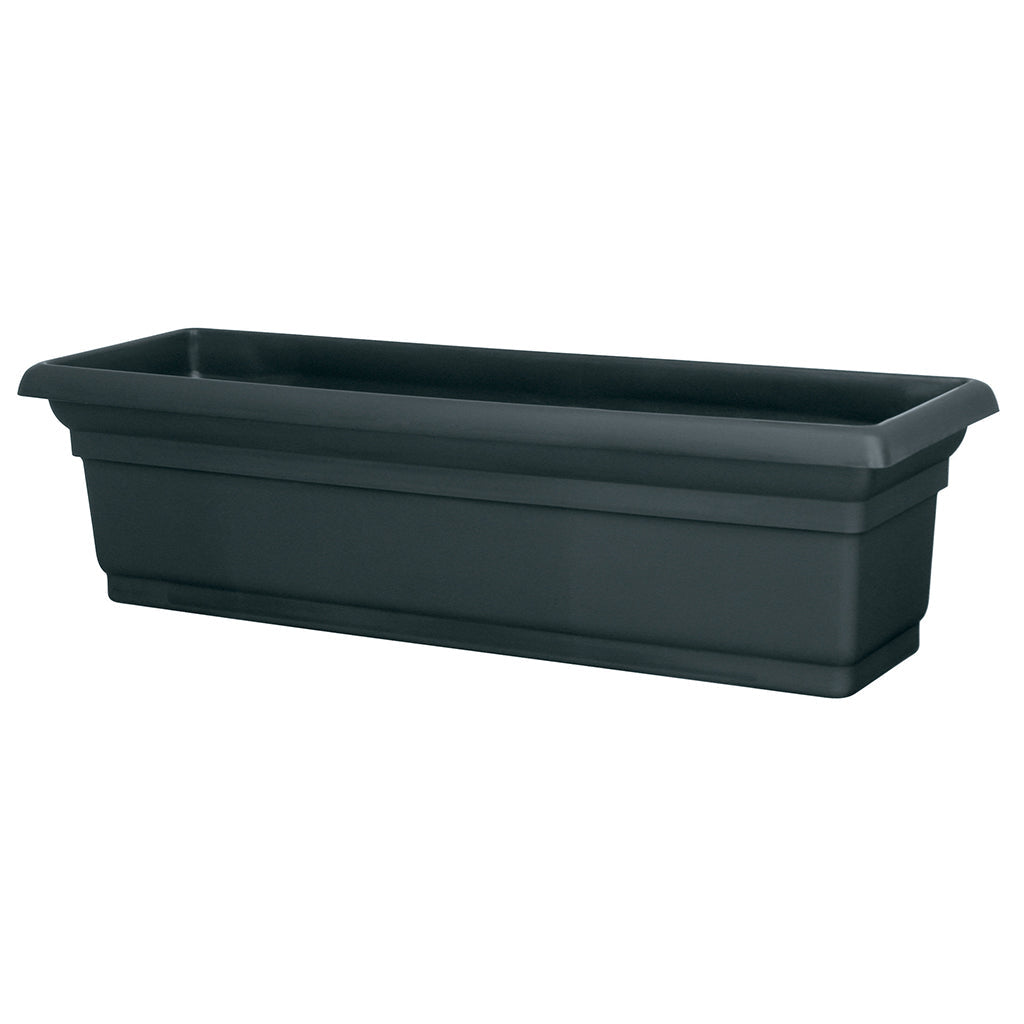 Distinction Window Box Black