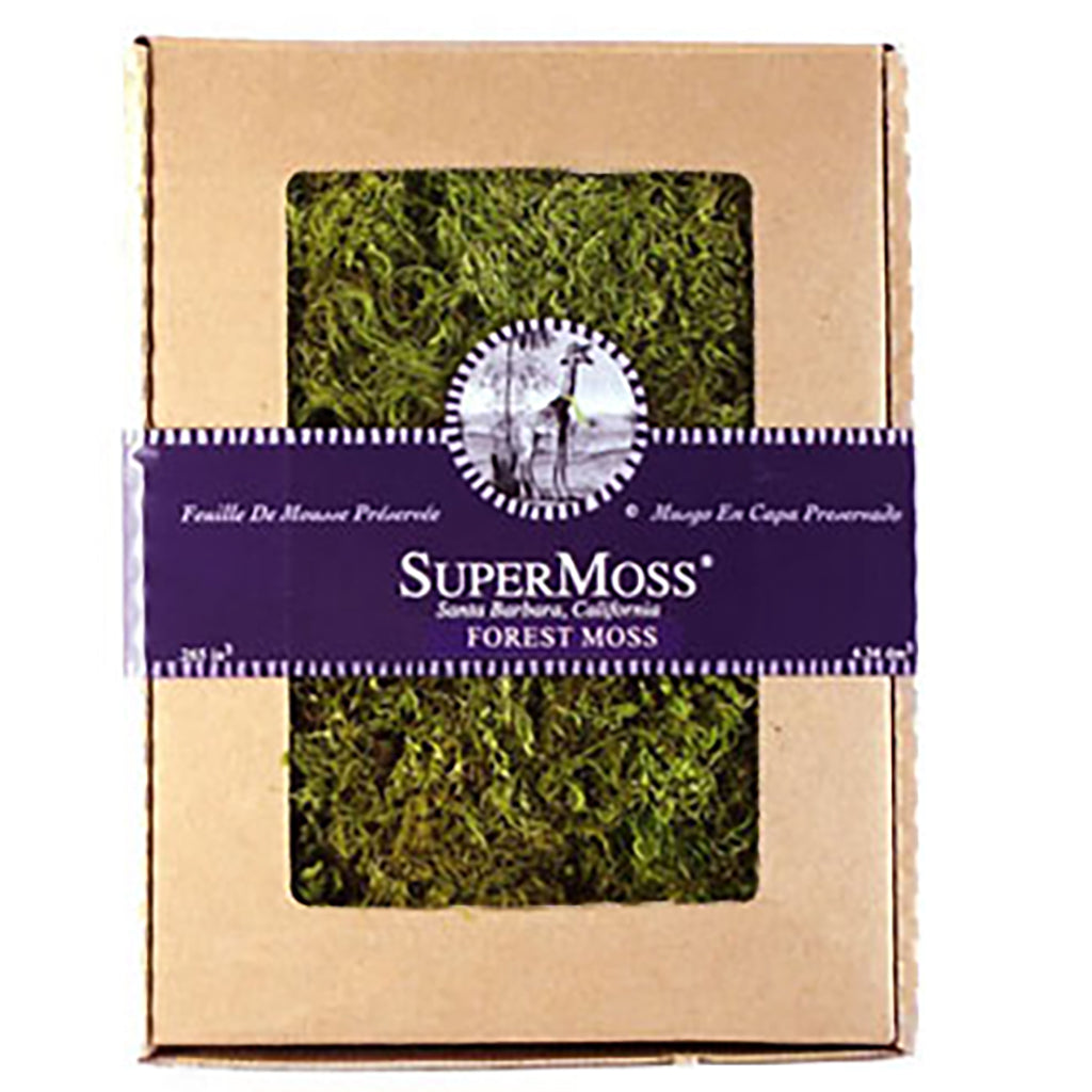 Forest Moss Green 8Oz