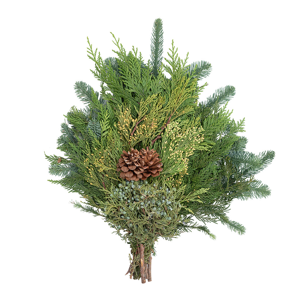 Mixed Evergreen Swag with Cone