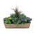 Discover the Fall Annuals in a Window Box – a stunning display of contrasting flowers, lush autumn foliage, and striking hues of ornamental grasses. This captivating arrangement effortlessly captures the essence of the season, adding depth and visual appeal to your fall décor. Whether mounted on your window sill to enhance your exterior or as an eye-catching centerpiece indoors, this versatile window box welcomes the beauty of fall into your space. 