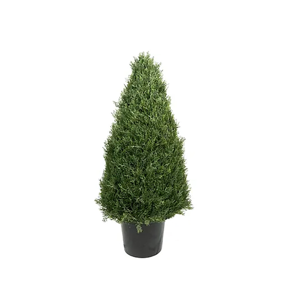 Cedar Cone Topiary 30In Everlasting