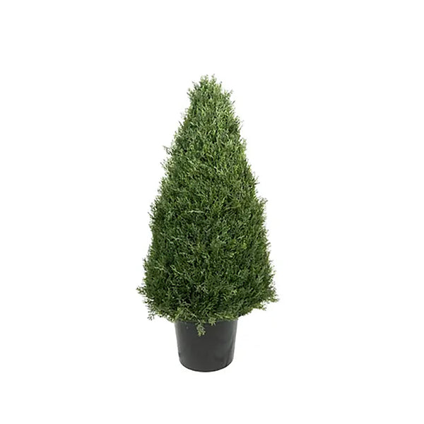 Cedar Cone Topiary 30In Everlasting - Sheridan Nurseries Online
