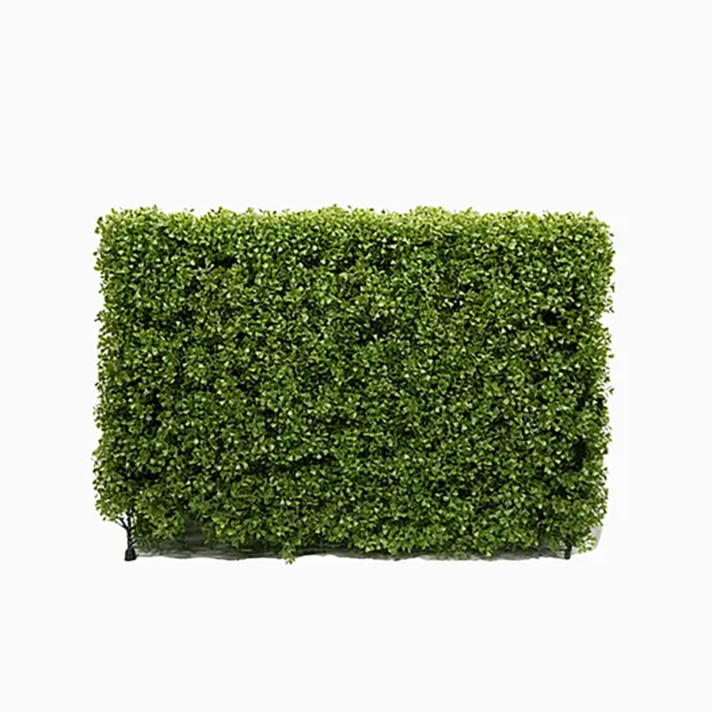 Boxwood Hedge 36In Everlasting