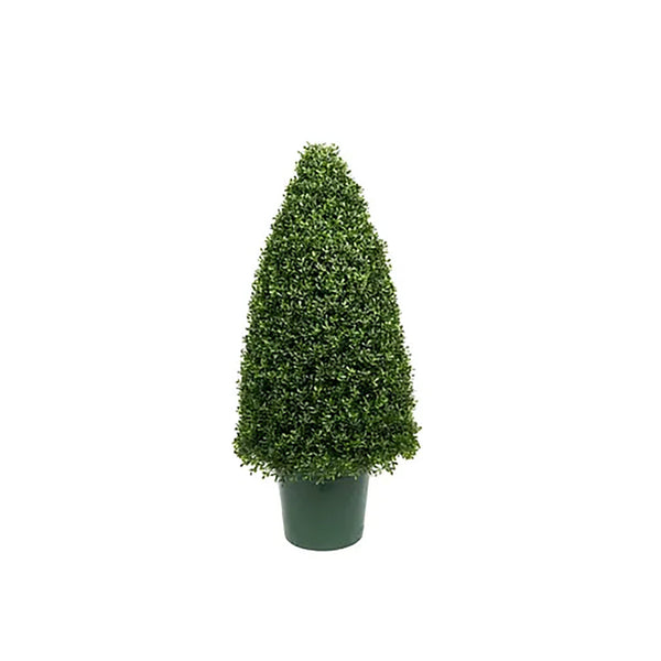 Tea Leaf Cone Topiary 36In Everlasting - Sheridan Nurseries Online