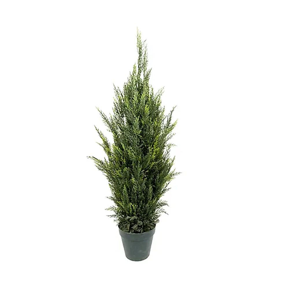 Chunky Cedar Tree 4' Everlasting