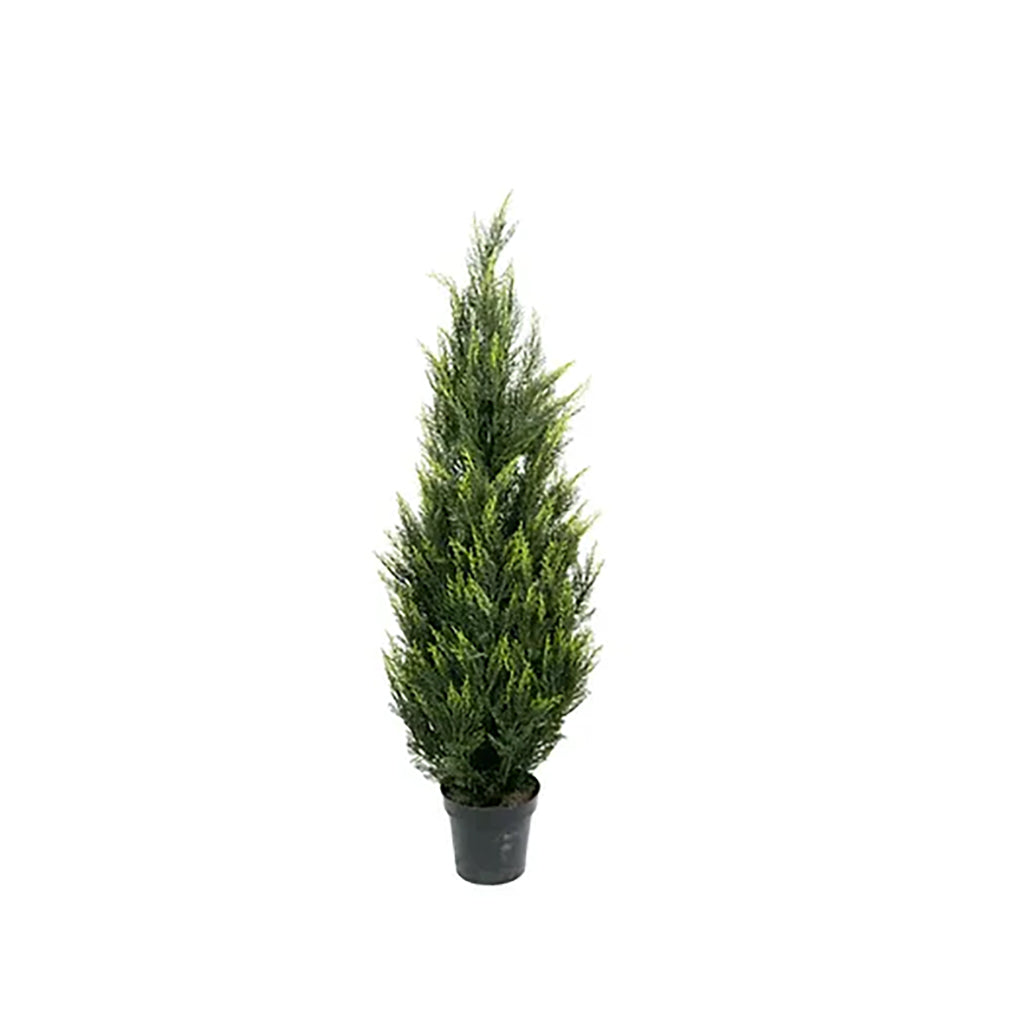 Chunky Cedar Tree 5Ft Everlasting