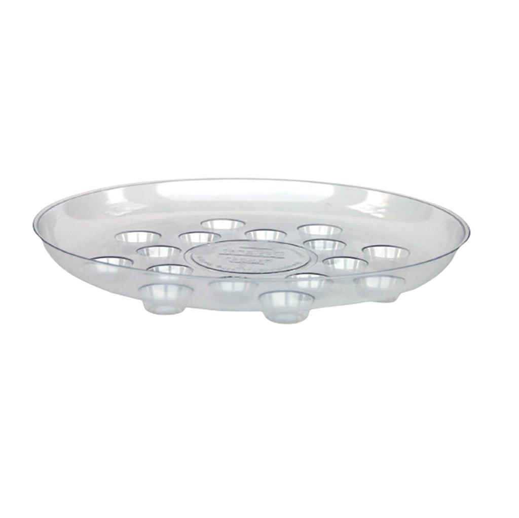 Carpet Saver Clear 8In