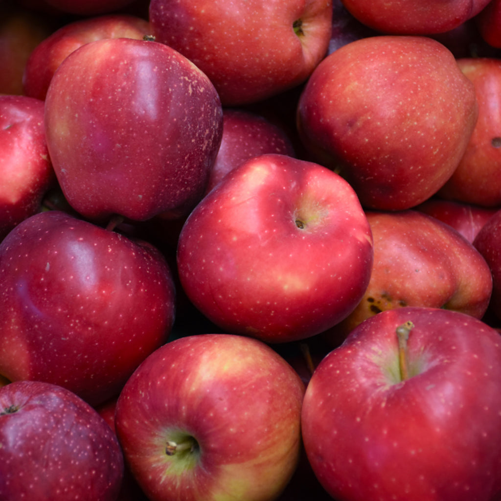 Red Delicious Apple Semi-Dwarf Tree