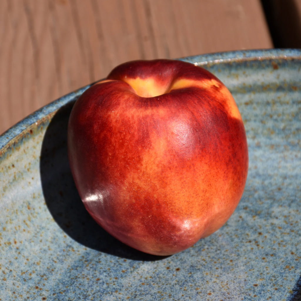 Hardy Red Nectarine Dwarf Tree