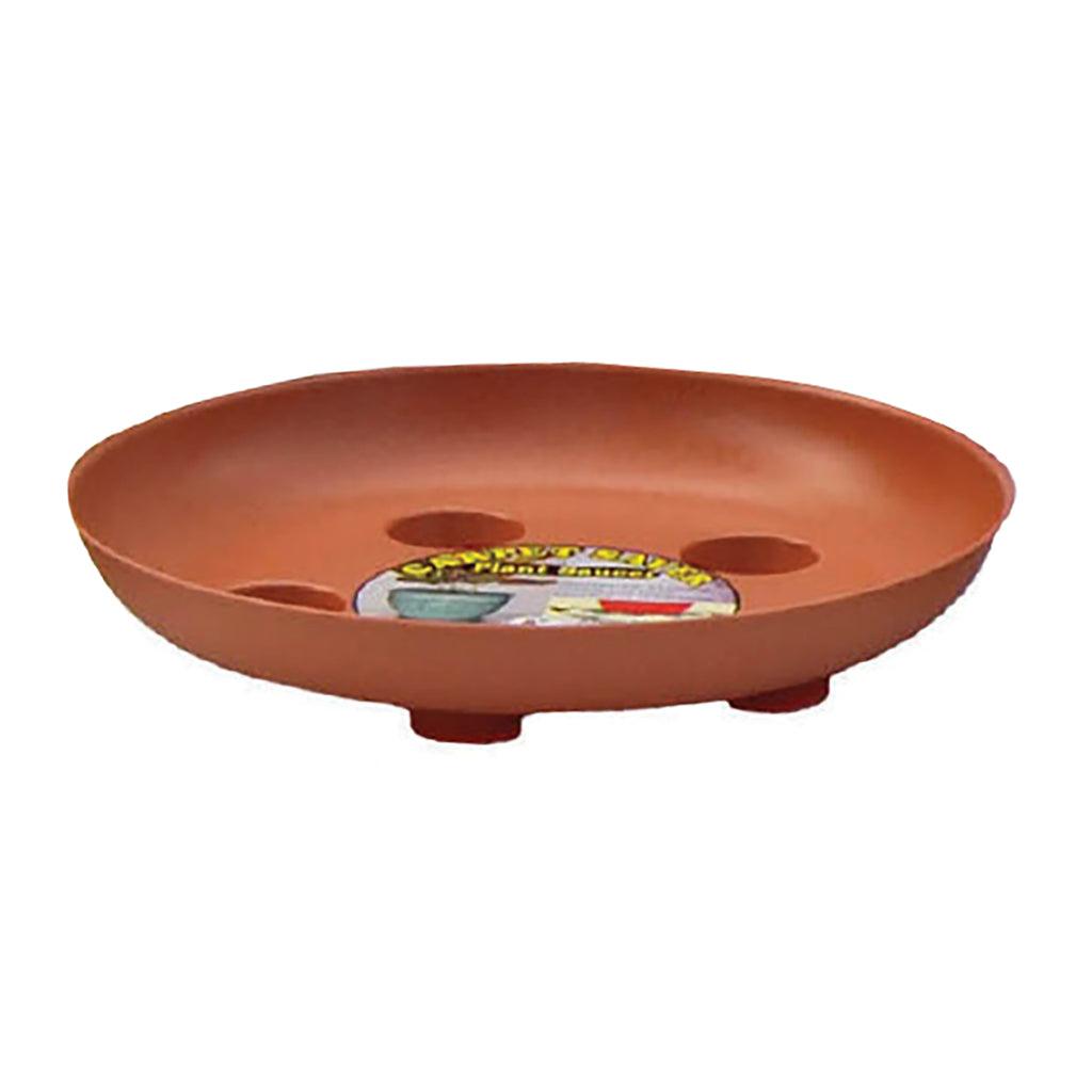 Carpet Saver Terra 8In