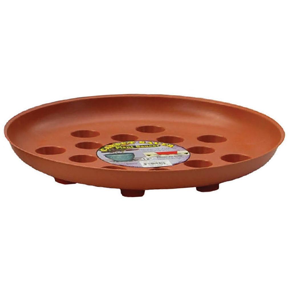 Carpet Saver Terra 12In