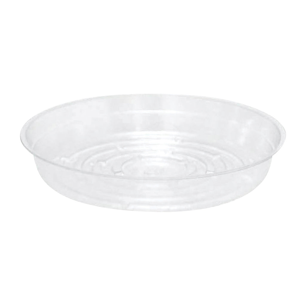 Saucer Clear Round Vinyl