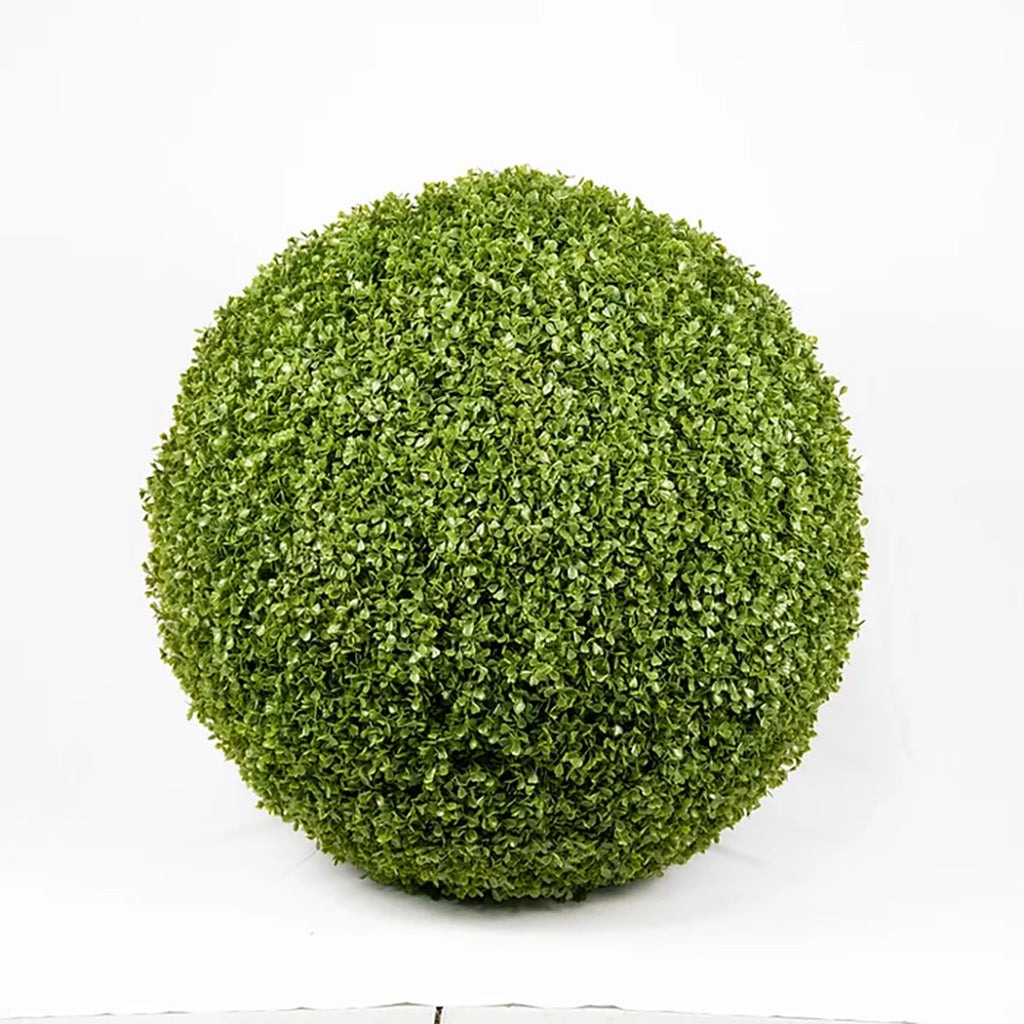Boxwood Ball 30In Everlasting
