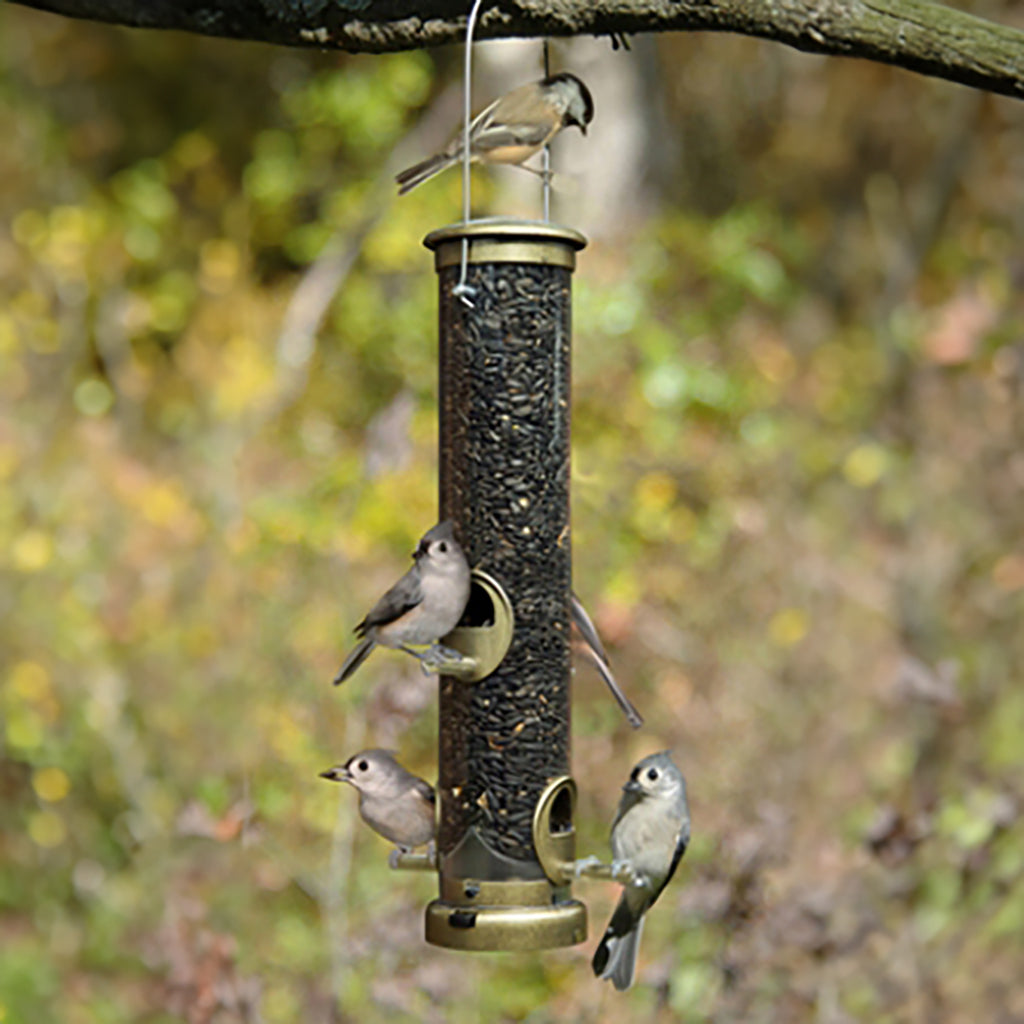 Aspects Feeder Tube Med Brass