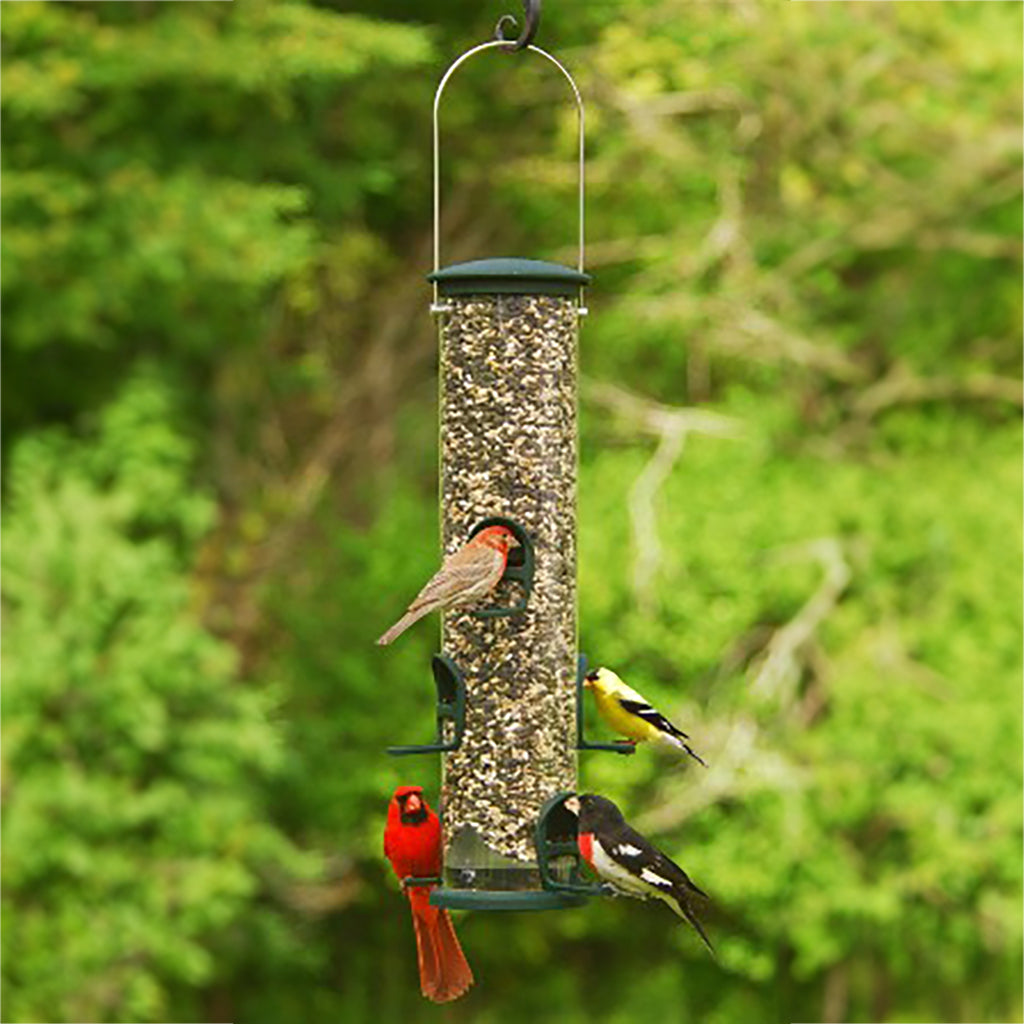 Aspects Feeder Big Tube Spruce