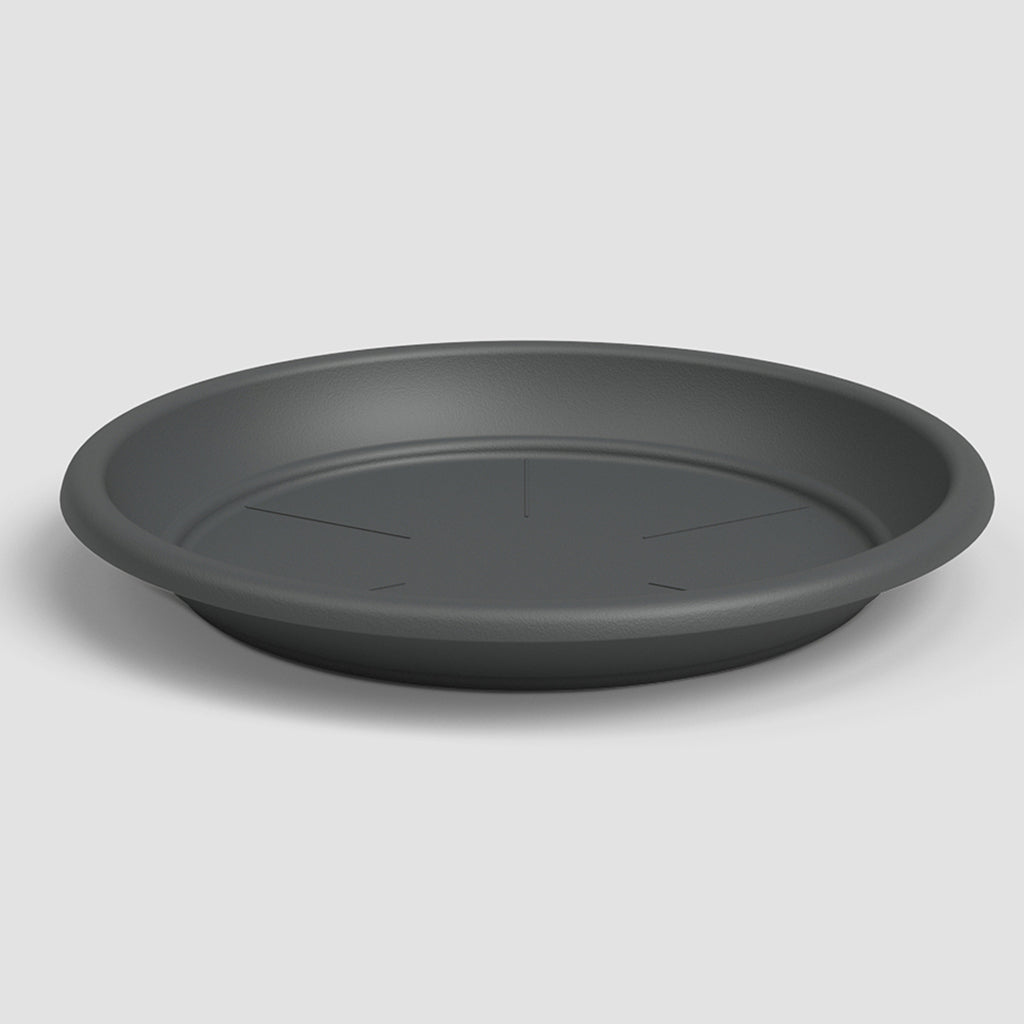 Basic Saucer - Anthracite