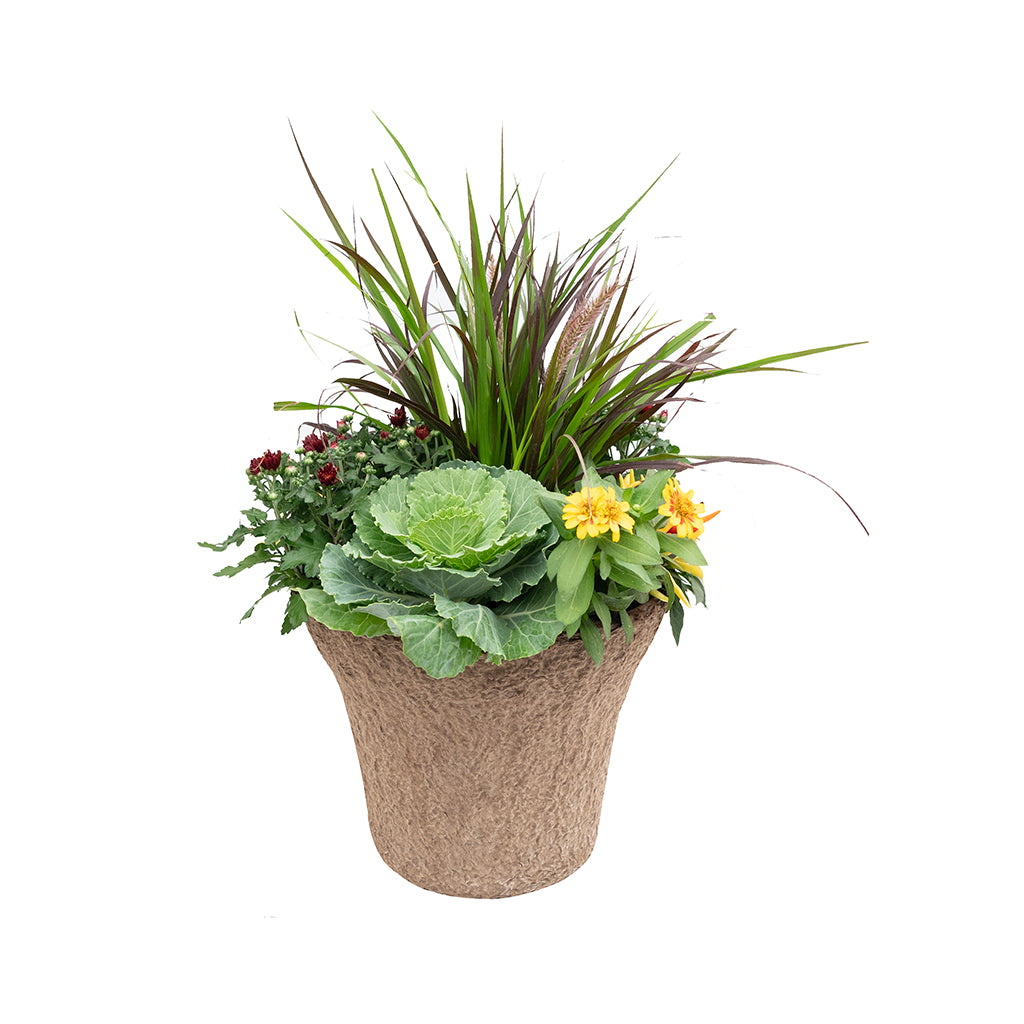 Annual Fall Planter Urn Insert 12"