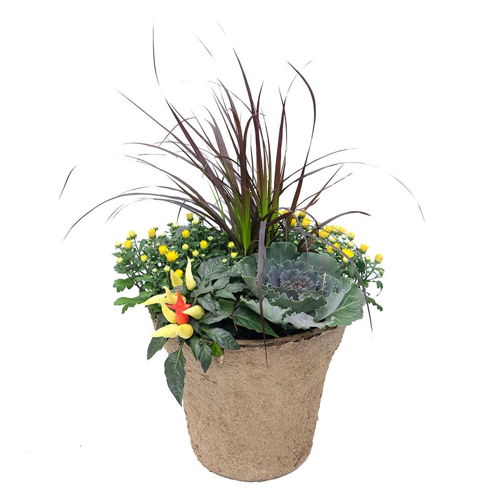 Annual Fall Planter Urn Insert 12&quot;