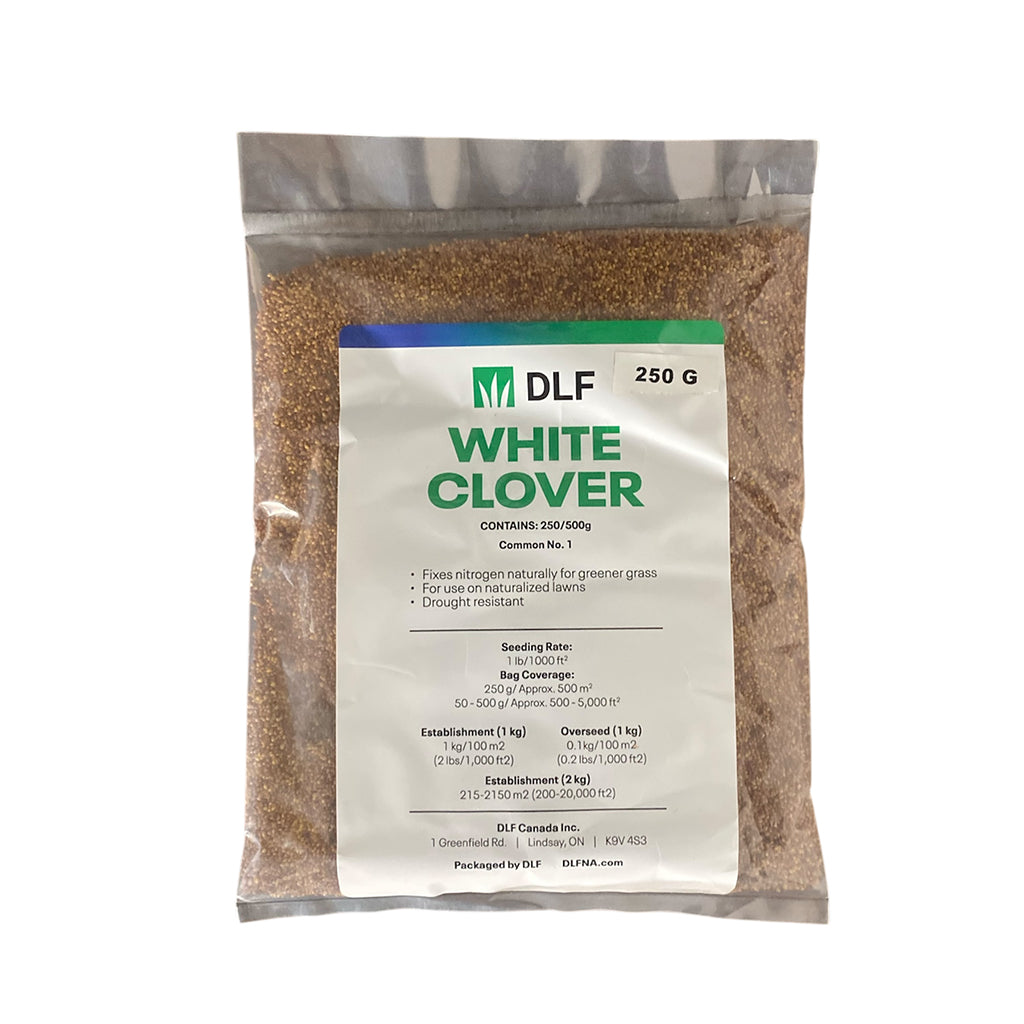 White Clover Seed 250 Grams
