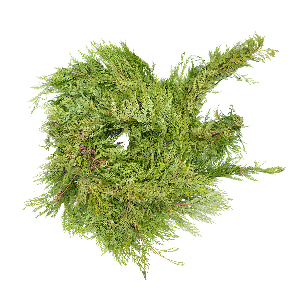 Western Red Cedar Garland 25'