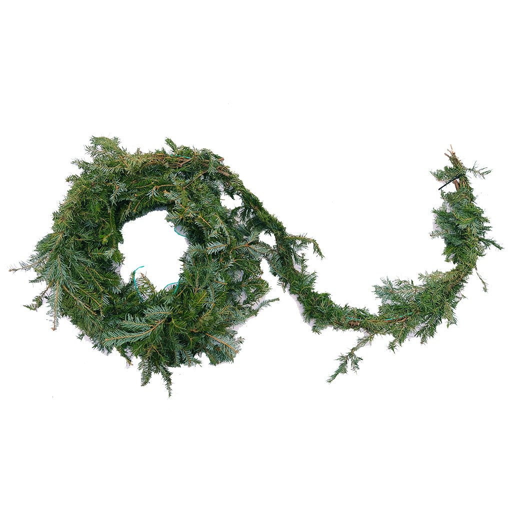 Fraser Garland Deluxe 20'