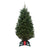 GTA/Kitchener Balsam Fir Fresh Cut Christmas Tree
