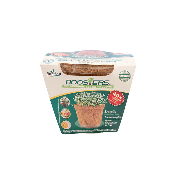 MicroGreen Booster Broccoli Kit - Sheridan Nurseries