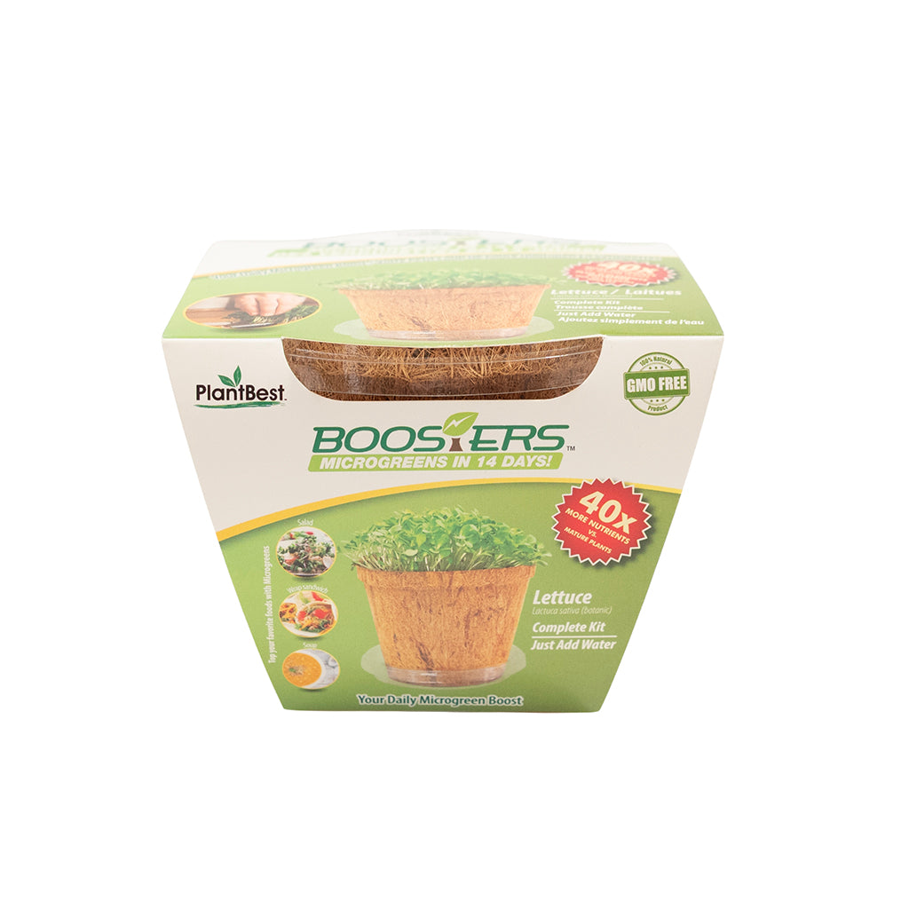 MicroGreen Booster Lettuce Kit