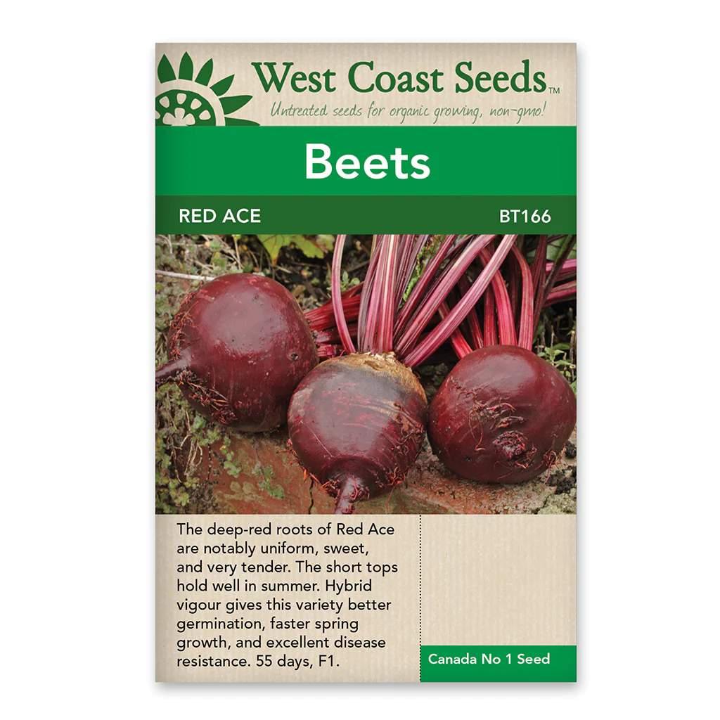 Beets Red Ace Seeds