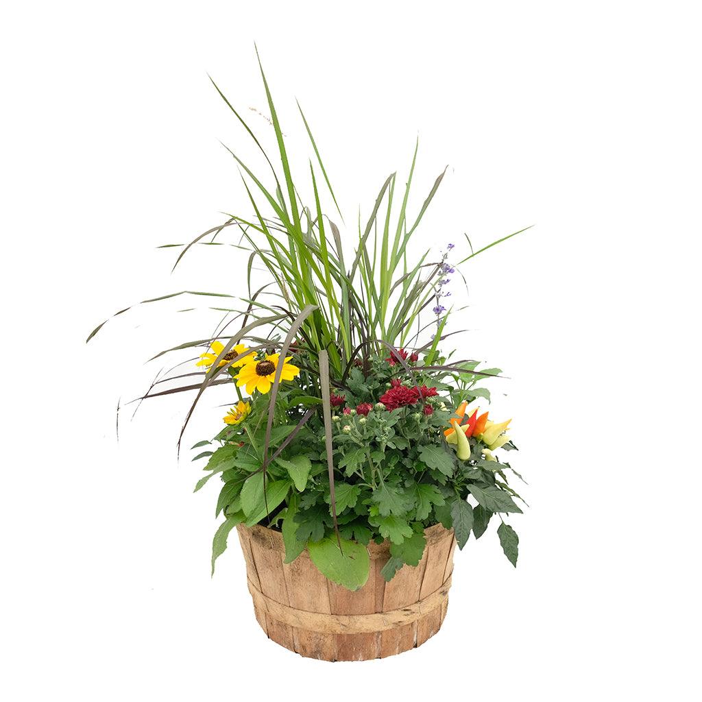 Annual Bushel Basket Planter