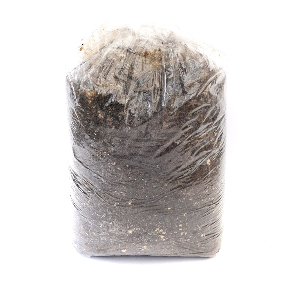 Bonsai Potting Mix 7Lbs