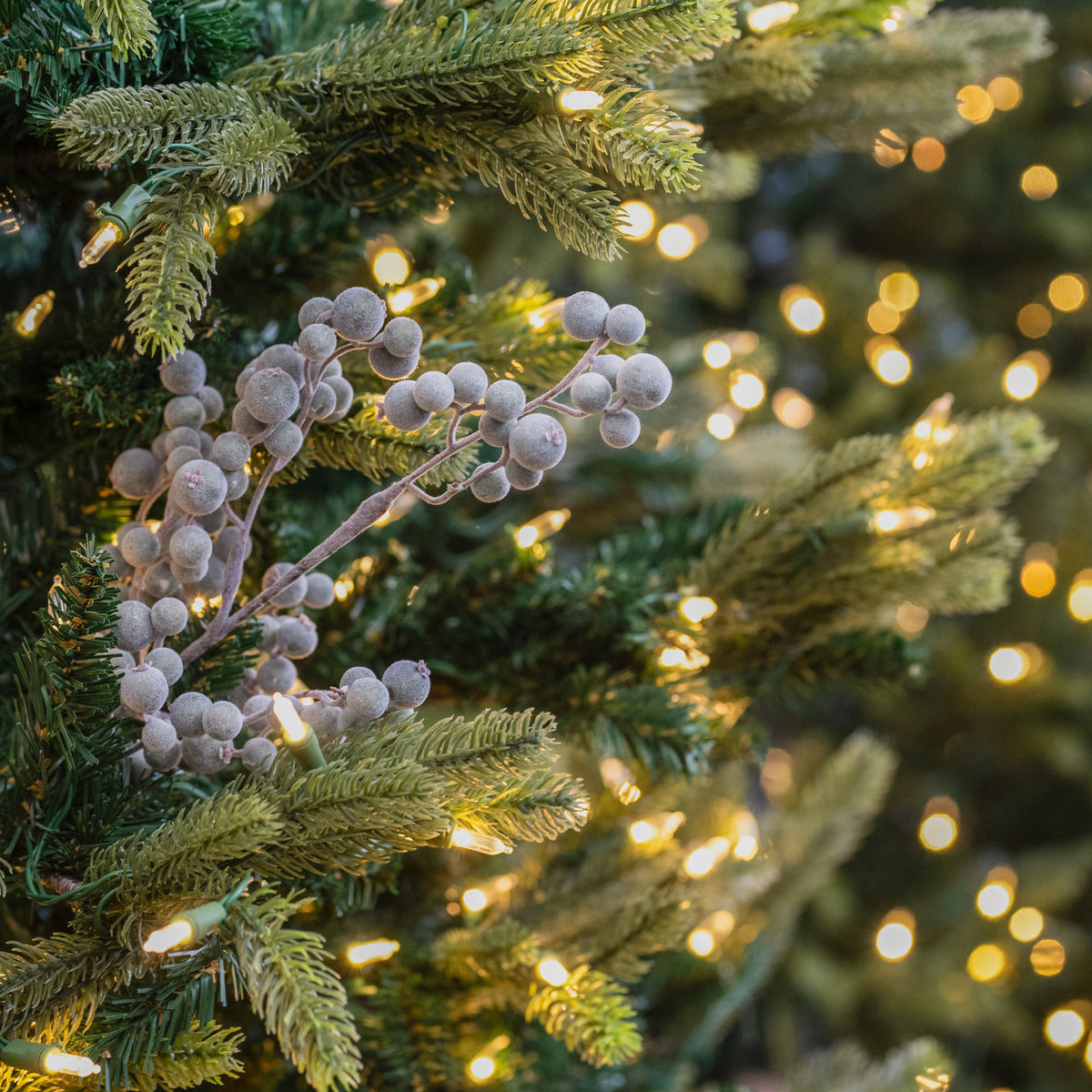 Sage Berry Cluster 18 inch