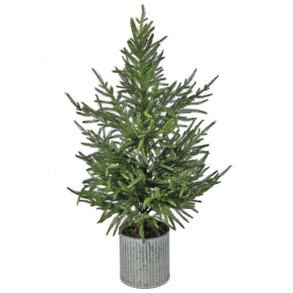 Potted Norfolk Pine Tree 36&quot;