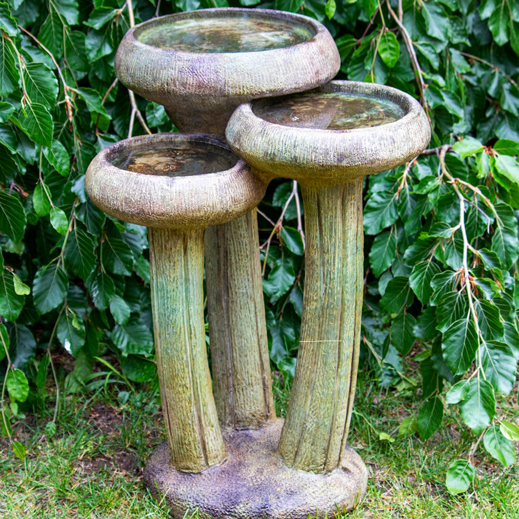 Water Lilies Birdbath